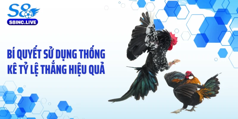 Bí quyết sử dụng thống kê tỷ lệ thắng hiệu quả