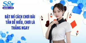Bật Mí Cách Chơi Bài Tấn Dễ Hiểu, Chơi Là Thắng Ngay
