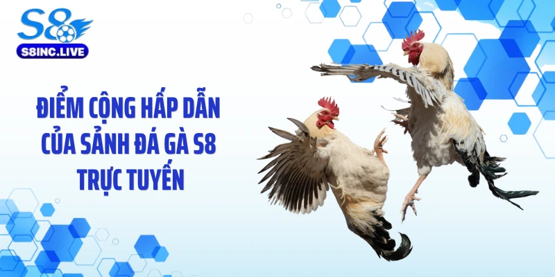 Điểm cộng hấp dẫn của sảnh đá gà S8 trực tuyến