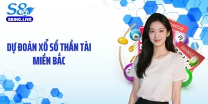 Dự Đoán Xổ Số Thần Tài Miền Bắc: Số Liệu Hé Lộ Bí Mật