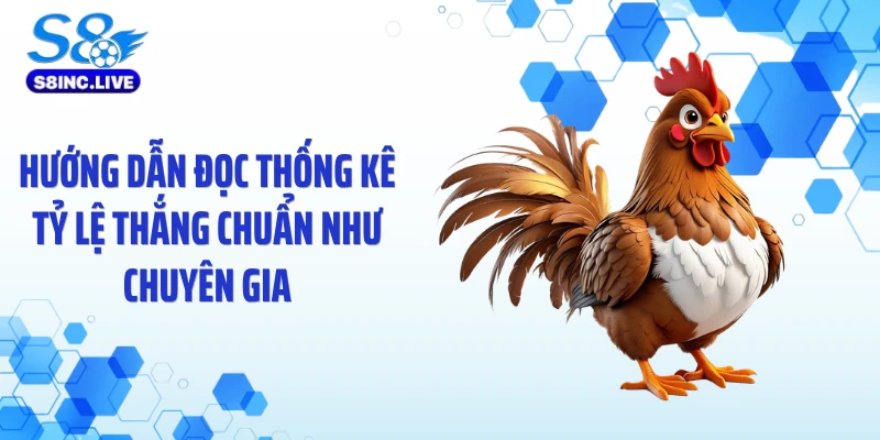 Hướng dẫn đọc thống kê tỷ lệ thắng chuẩn như chuyên gia