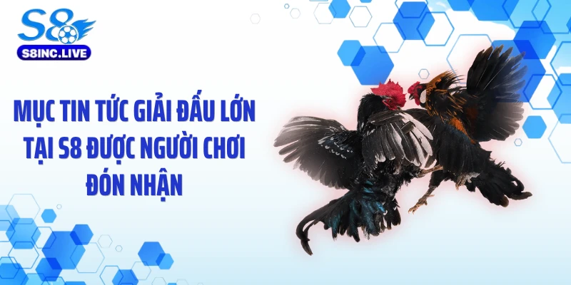 Mục tin tức giải đấu lớn tại S8 được người chơi đón nhận