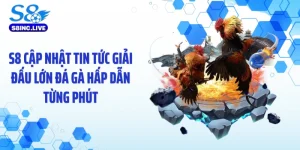 S8 Cập Nhật Tin Tức Giải Đấu Lớn Đá Gà Hấp Dẫn Từng Phút