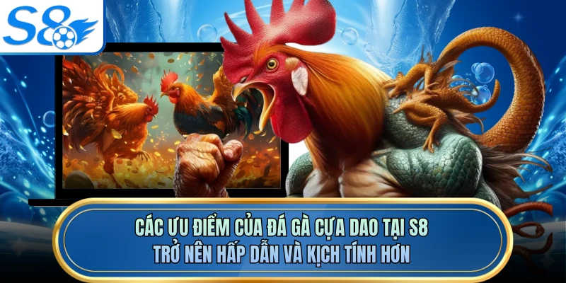 Các ưu điểm của đá gà cựa dao tại S8 trở nên hấp dẫn và kịch tính hơn