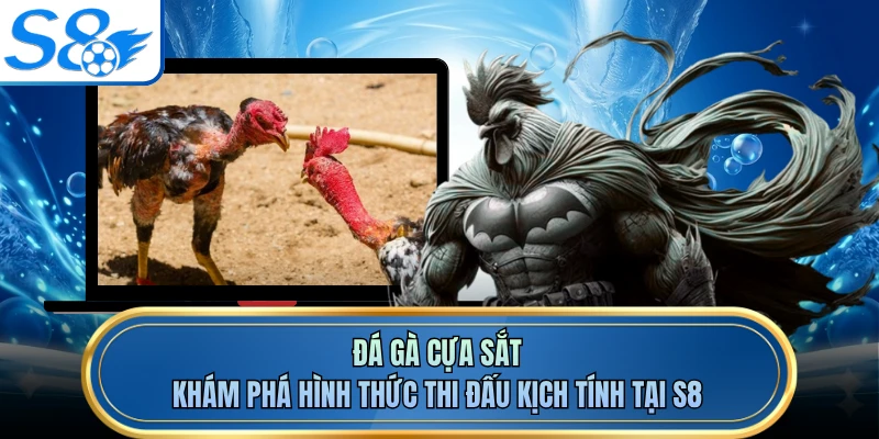 Đá Gà Cựa Sắt - Khám Phá Hình Thức Thi Đấu Kịch Tính Tại S8