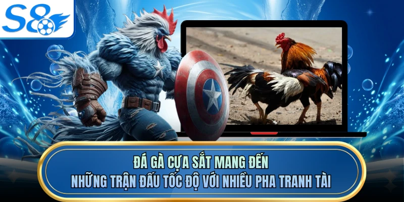 Đá gà cựa sắt mang đến những trận đấu tốc độ với nhiều pha tranh tài